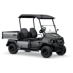 Yamaha UMX AC Li